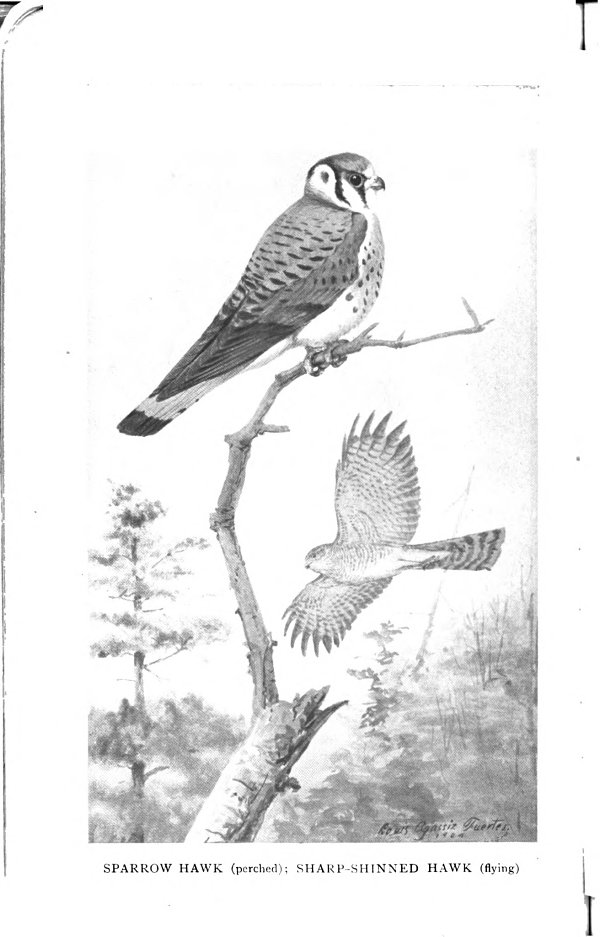 Image for page 7