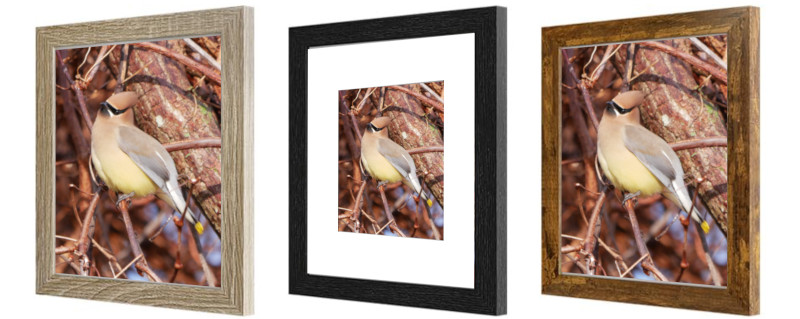 Frames